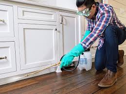 Best Pest Control for Multi-Family Homes  in Maysville, MO